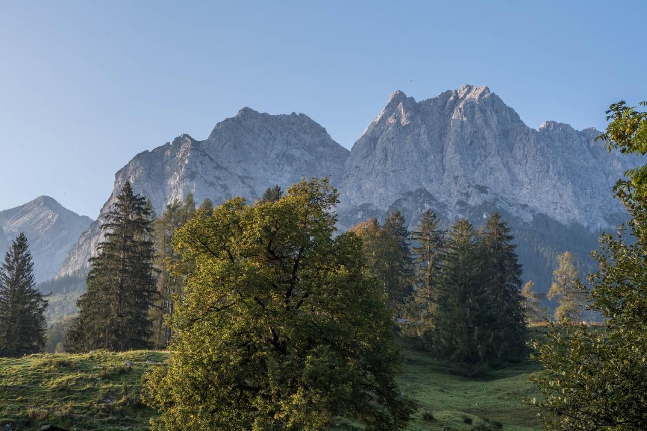 Alpspitznest