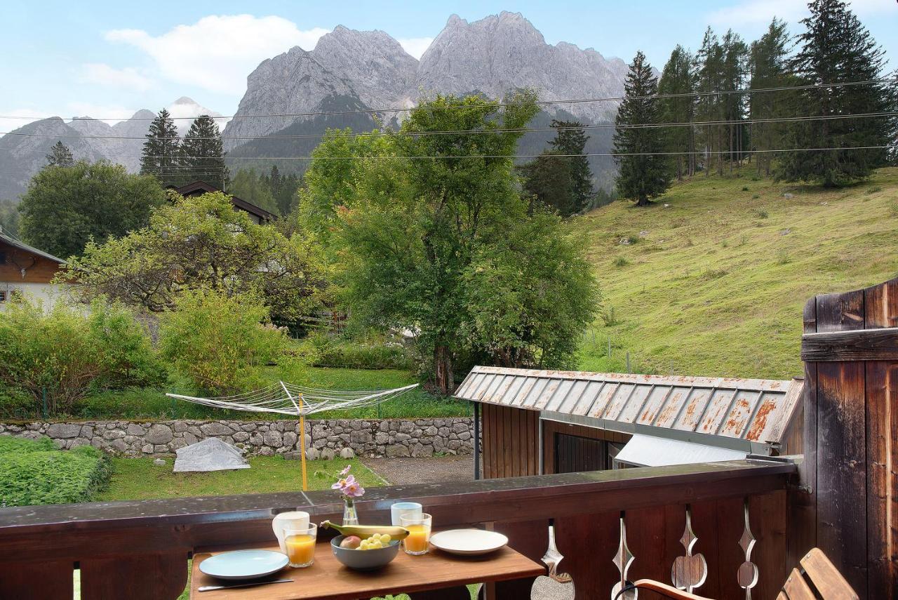 Alpspitznest Apartment *